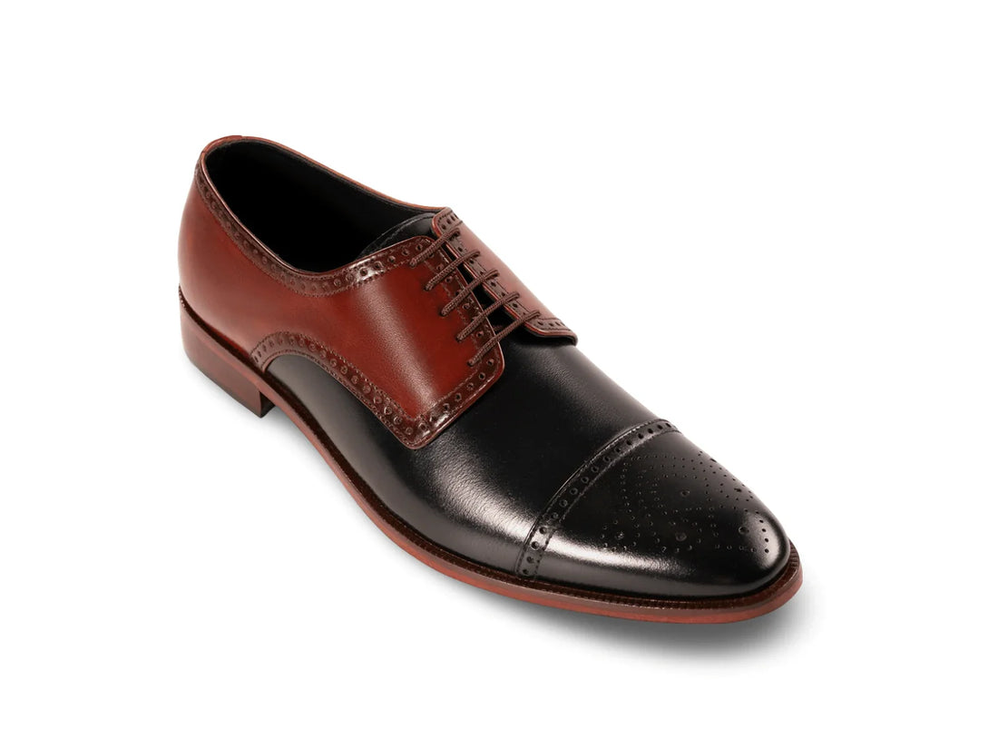 The Oxblood Regent